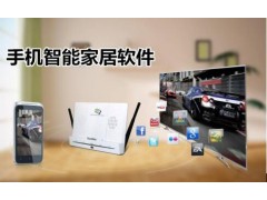 2020第十三届（南京）国际智能家居 智能门窗-智博会