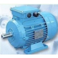 法国T-T Electric电机